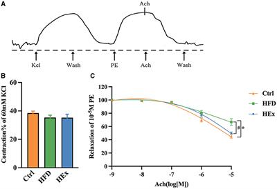 Exercise attenuates high-fat diet-induced PVAT dysfunction through improved inflammatory response and BMP4-regulated adipose tissue browning